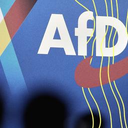 Blick in die Halles beim Bundesparteitag der AfD.