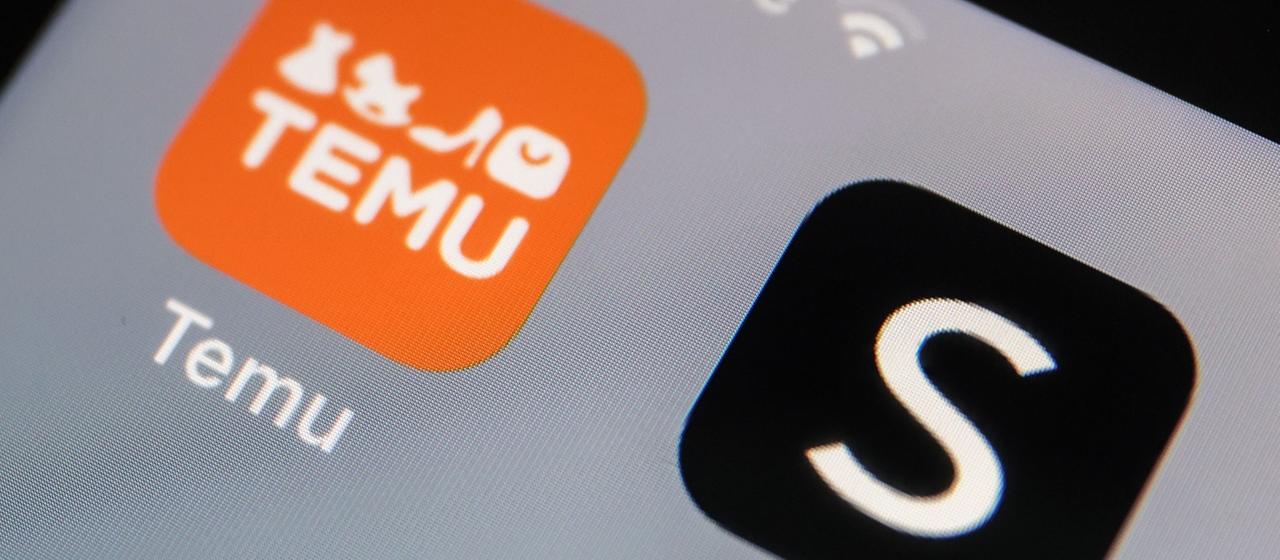 Temu und Shein Appsymbole auf einem Smartphonedisplay.