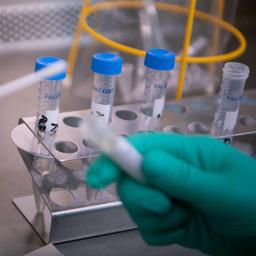 Aktuelle Meldungen zum Coronavirus