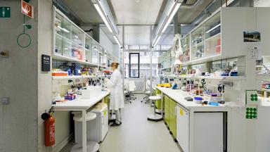 Eine Frau im Labor des Nationalen Centrums für Tumorerkennnung in Heidelberg