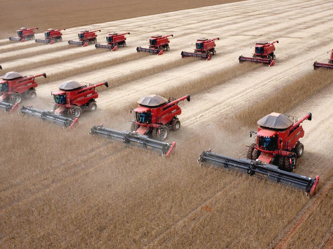 Kein russischer Dnger: Brasiliens Landwirtschaft unter Druck |  tagesschau.de