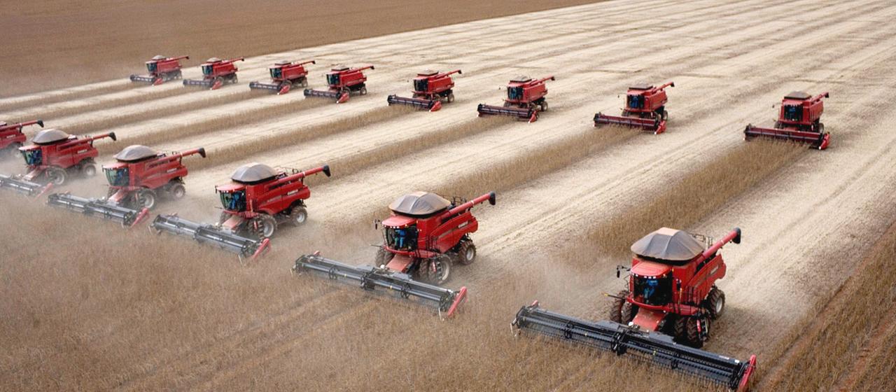 Kein russischer Dnger: Brasiliens Landwirtschaft unter Druck |  tagesschau.de