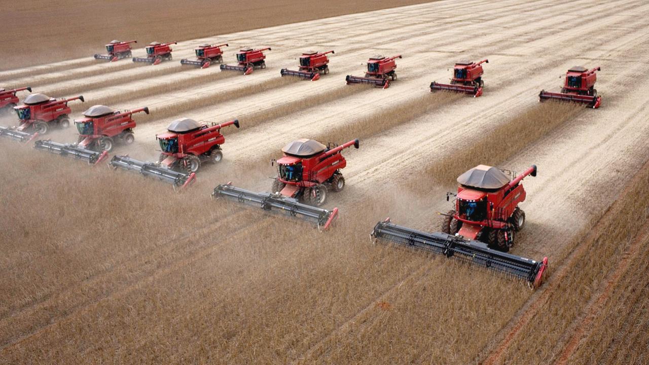 Kein russischer Dnger: Brasiliens Landwirtschaft unter Druck |  tagesschau.de