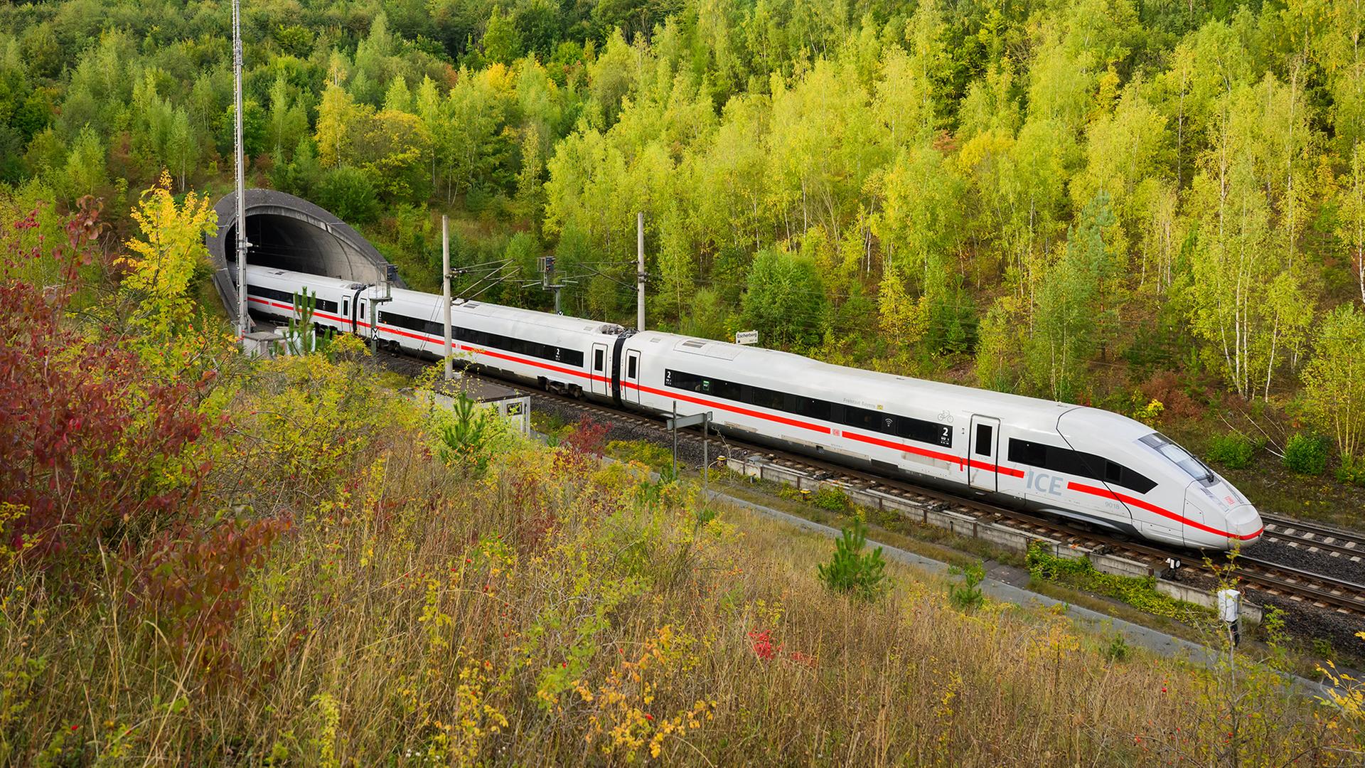 Ein ICE der Deutschen Bahn fährt in den Tunnel Escherberg im Landkreis Hildesheim. | dpa