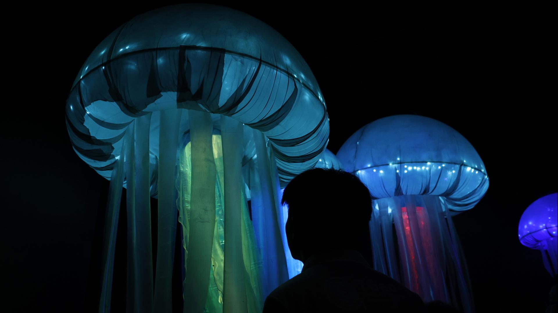 Ein Besucher erlebt die Unterwasserwelt durch eine immersive Kunstinstallation in Bangkok. | EPA