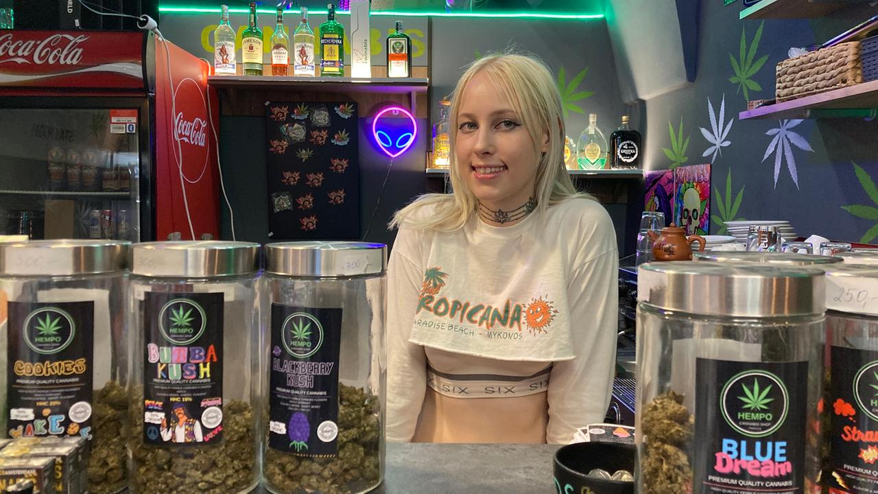 Debata o konopí: Česko toleruje – ale legalizuje?