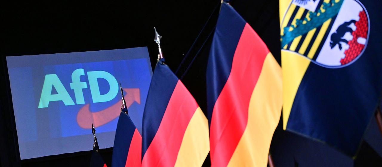 Flaggen sind vor dem Logo der AfD zu sehen.