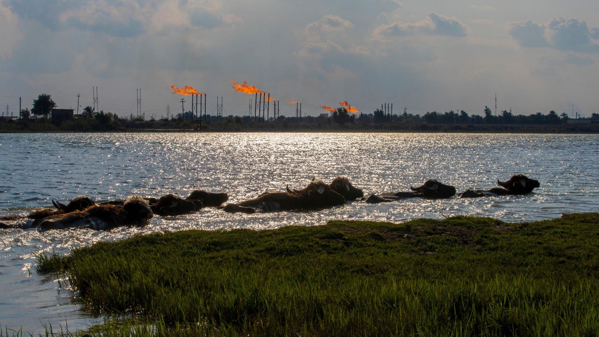 Das Nihran Bin Omar Ölfeld im Norden des Irak | AP