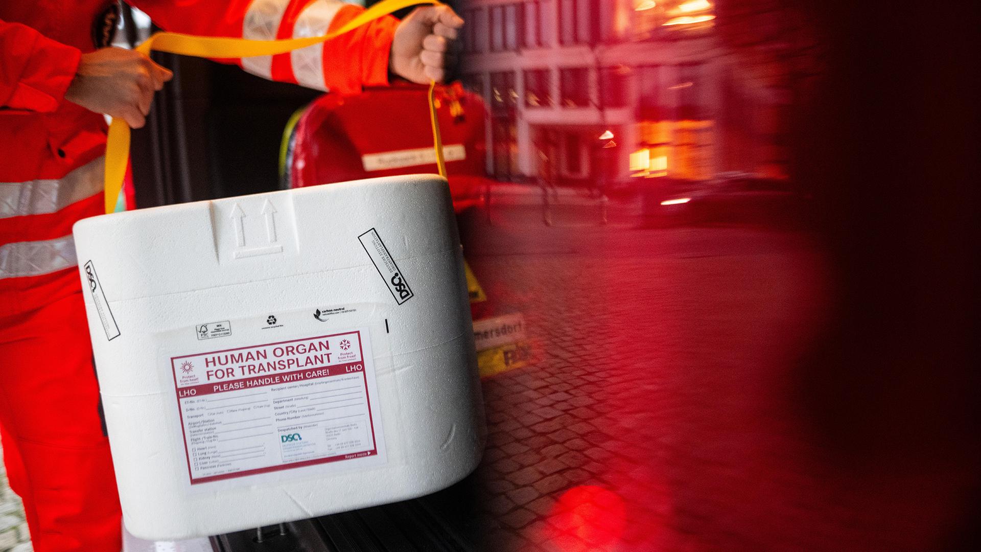 Organspende in einem Transportbehälter | dpa-tmn