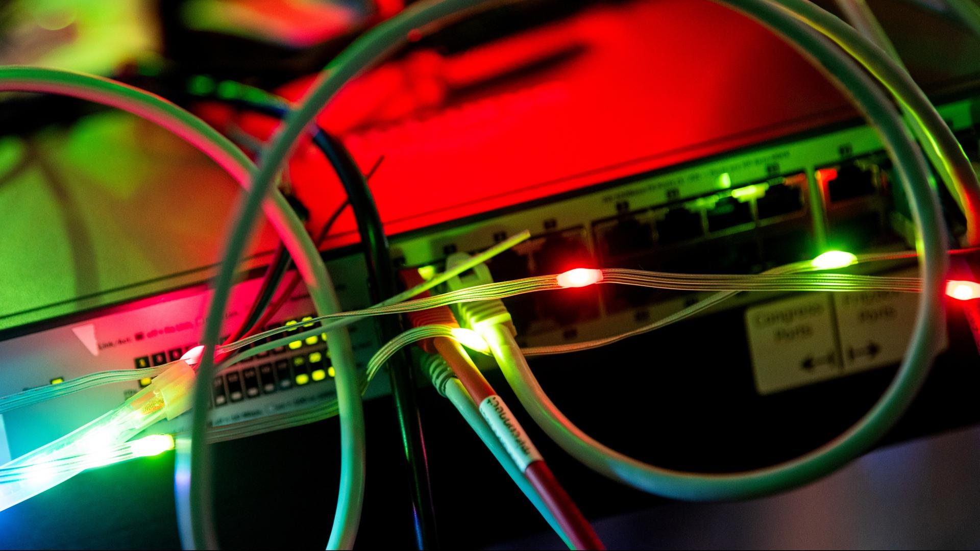 Kabel und blinkende LEDs auf der Rückseite eines Laptops. | dpa