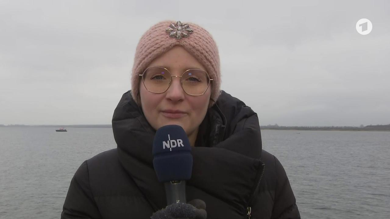 Franziska Hänlein, NDR, zur Lage des gestrandeten Buckelwals in der Wismarer Bucht