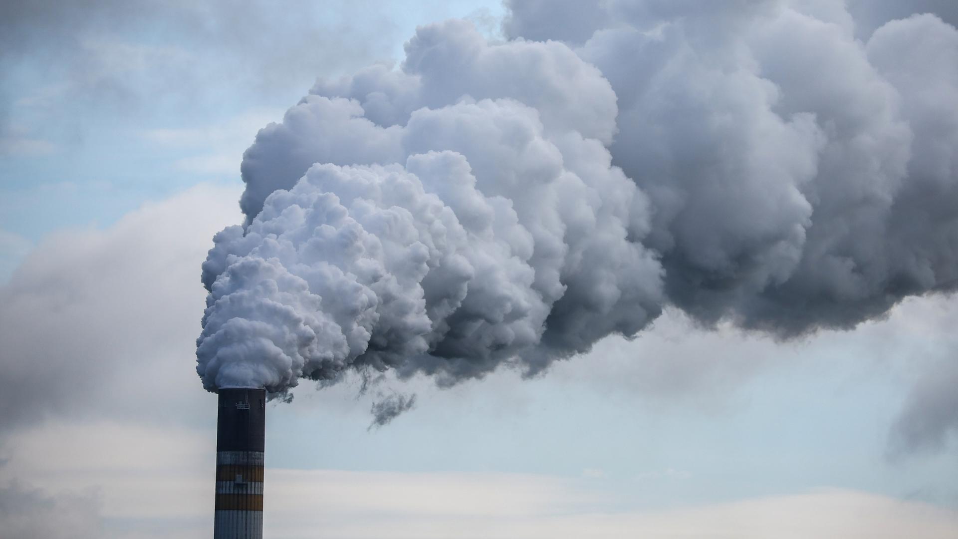 Bericht der Weltwetterorganisation: Treibhausgase so hoch wie nie