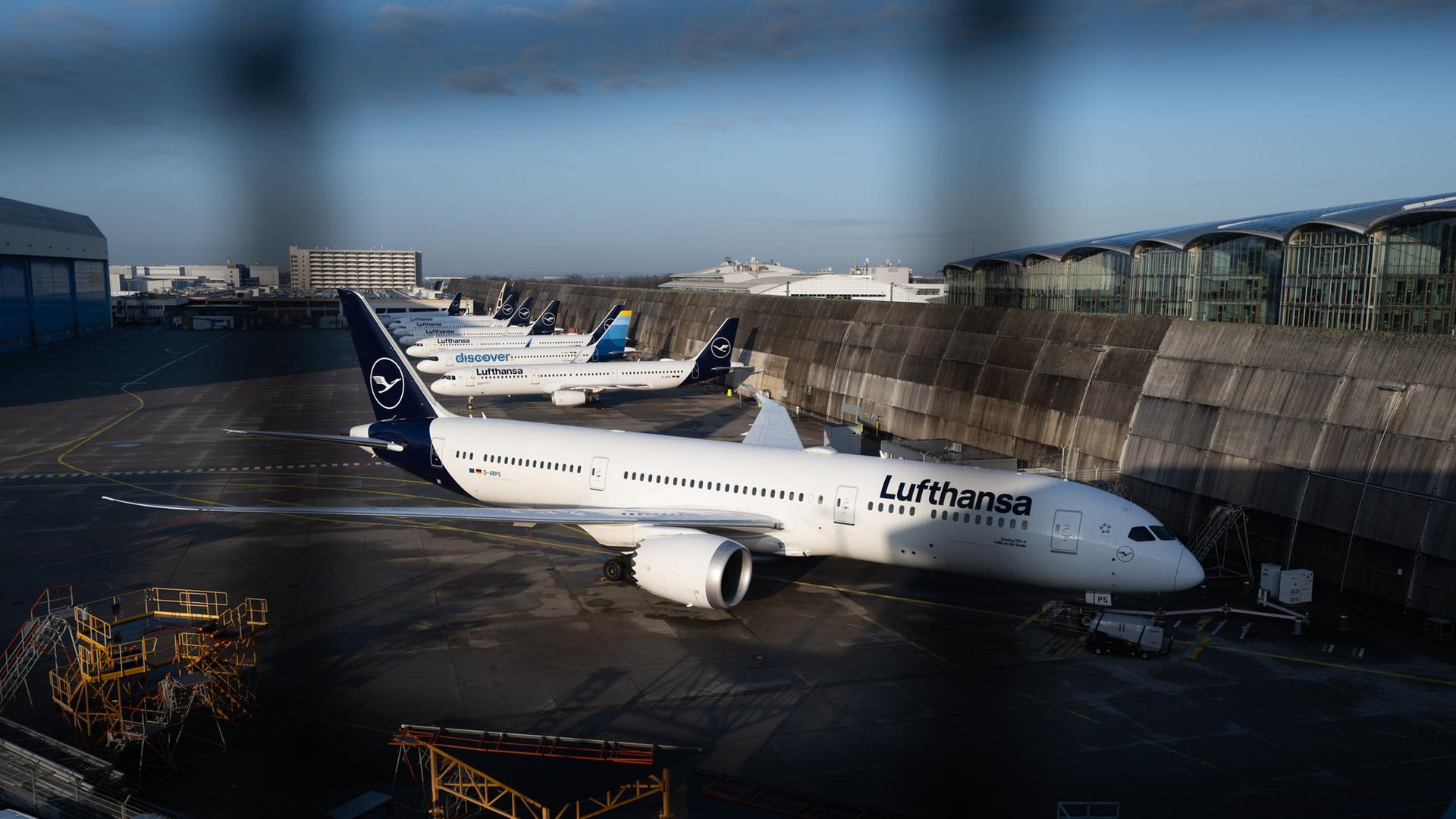 Passagierflugzeuge der Lufthansa stehen auf dem Flughafen Frankfurt.  | picture alliance/dpa | Florian Wiegand