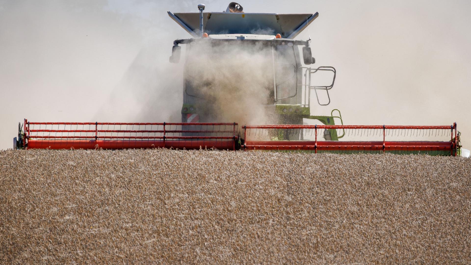 Ernährungssicherheit: Wie sinnvoll sind die Maßnahmen der Politik?
