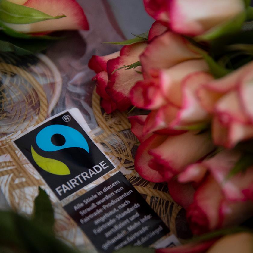 Blumen von Aldi - Verste gegen Fairtrade-Regeln auf Rosenfarm |  tagesschau.de