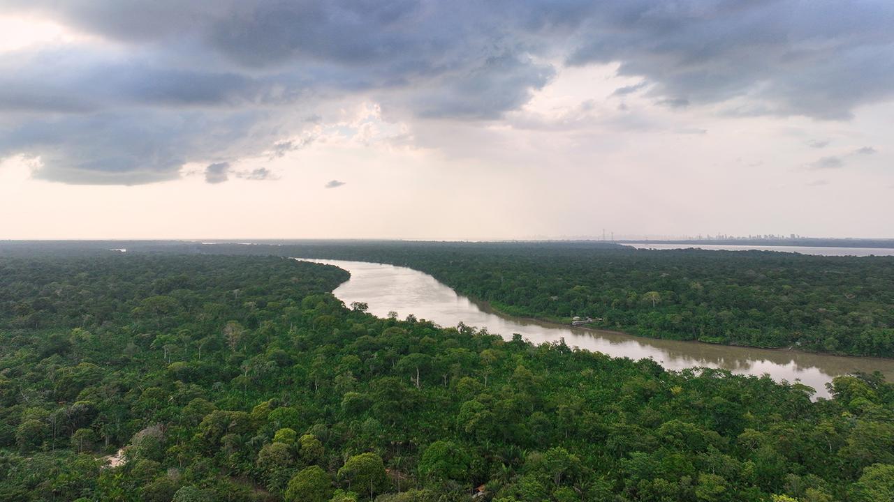 Brasiliens Indigene erringen Sieg für Amazonas-Schutz