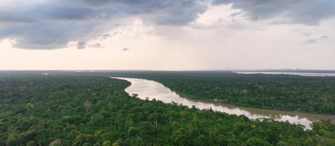 Bäume umgeben den Fluss Guamá in Itacoa Miri. (Brasilien)