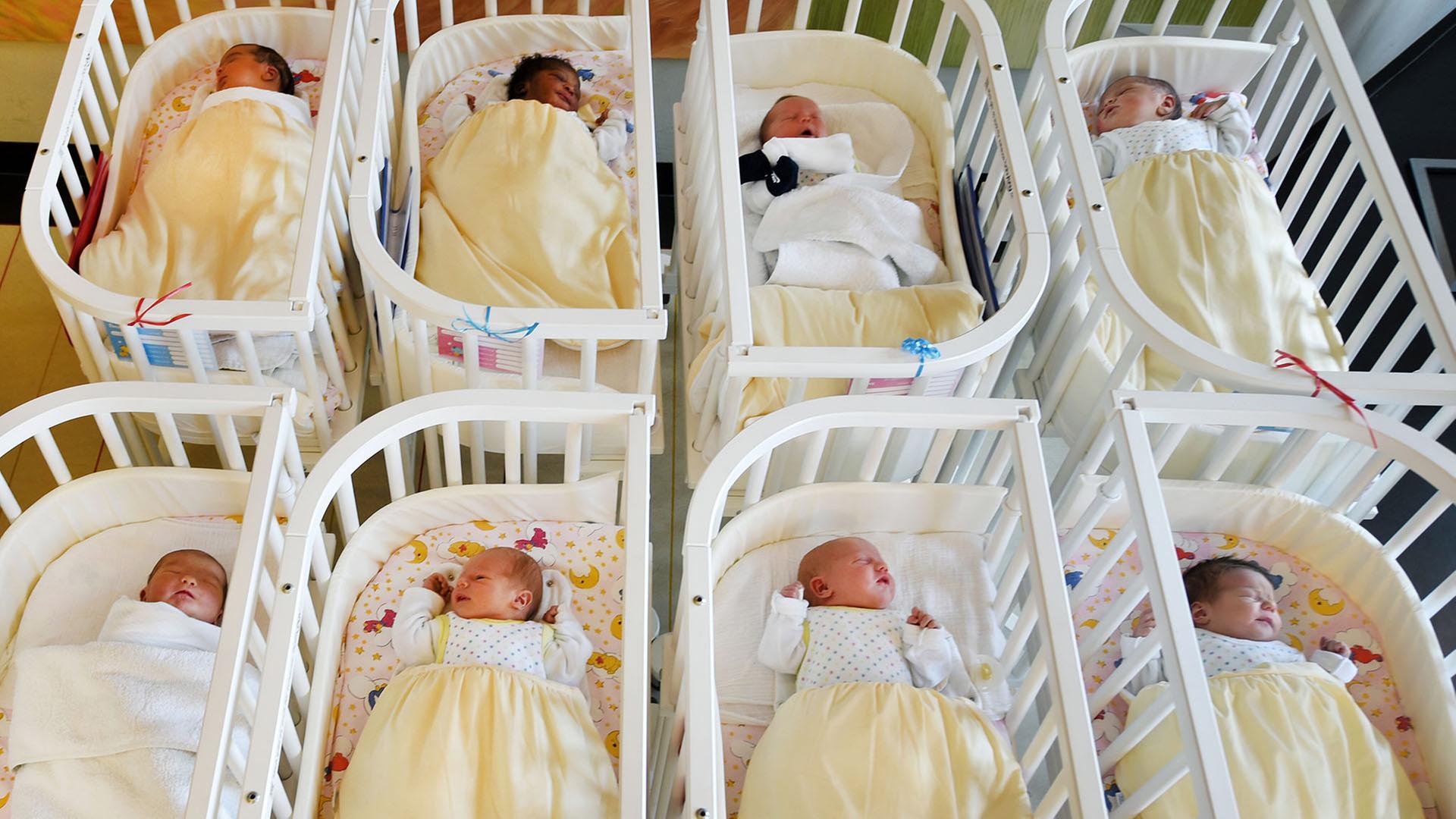 Babys liegen in einer Klinik für Geburtshilfe in ihren Betten. | picture alliance/dpa/dpa-Zentral