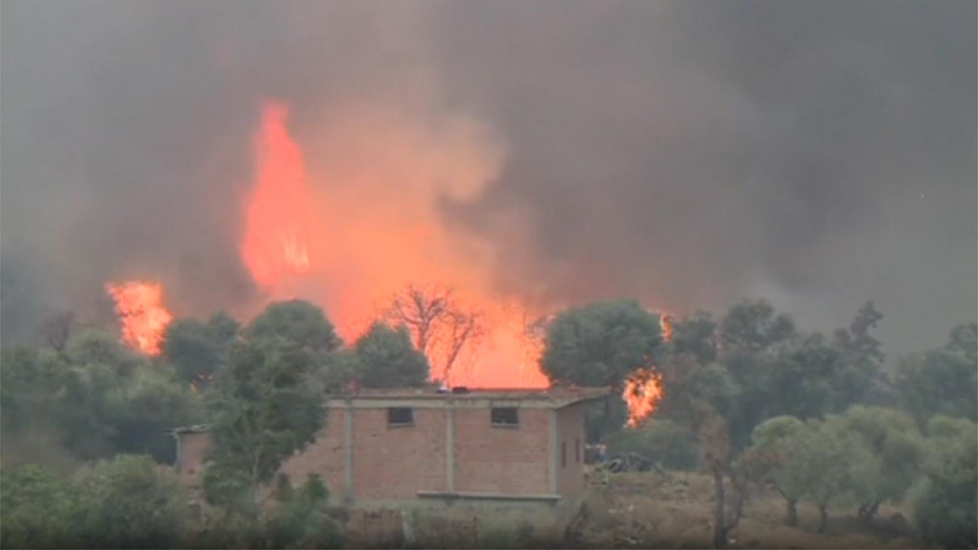 Mindestens zwölf Menschen bei Waldbränden in Algerien gestorben