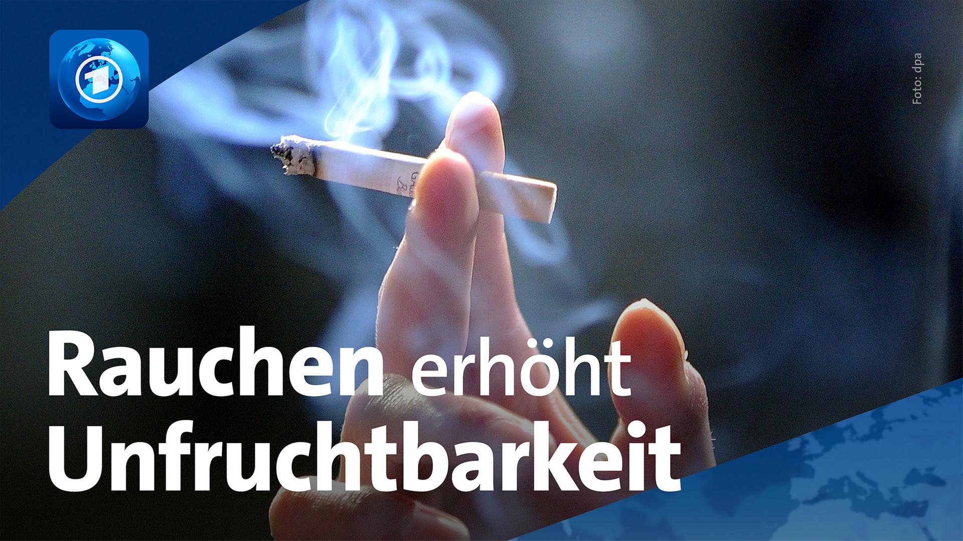 So wirkt sich Rauchen auf Spermien und Eizellen aus – WHO hat zahlreiche Studien ausgewertet
