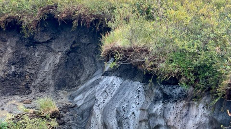 Wie der tauende Permafrost das Küstendorf Tuktoyaktuk in Kanada zerstört tagesschau.de