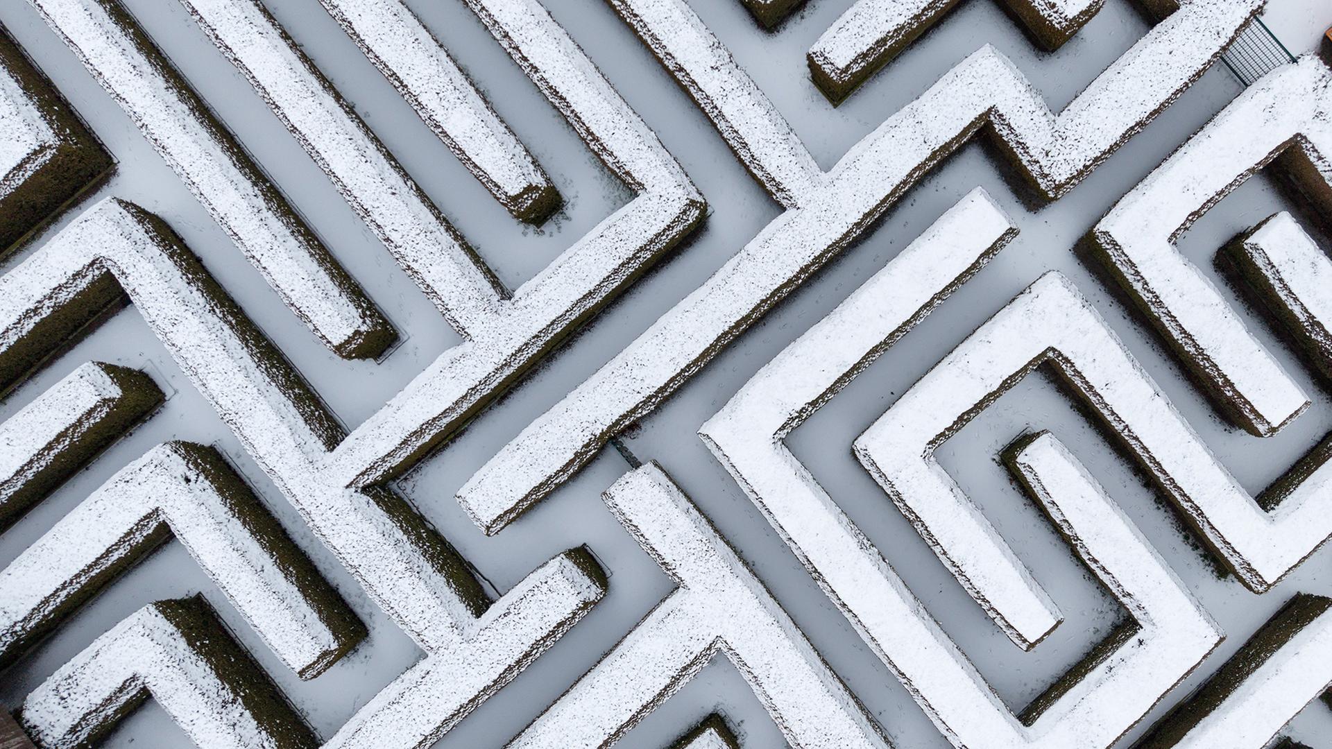 Mit Schnee bedeckt sind die Thuja-Heckenpflanzen im Irrgarten Kleinwelka (Sachsen). | dpa