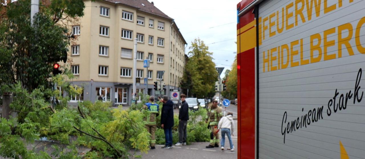 Ein Einsatzfahrzeug der Feuerwehr steht neben einem umgestürzten Baum in Baden-Württemberg