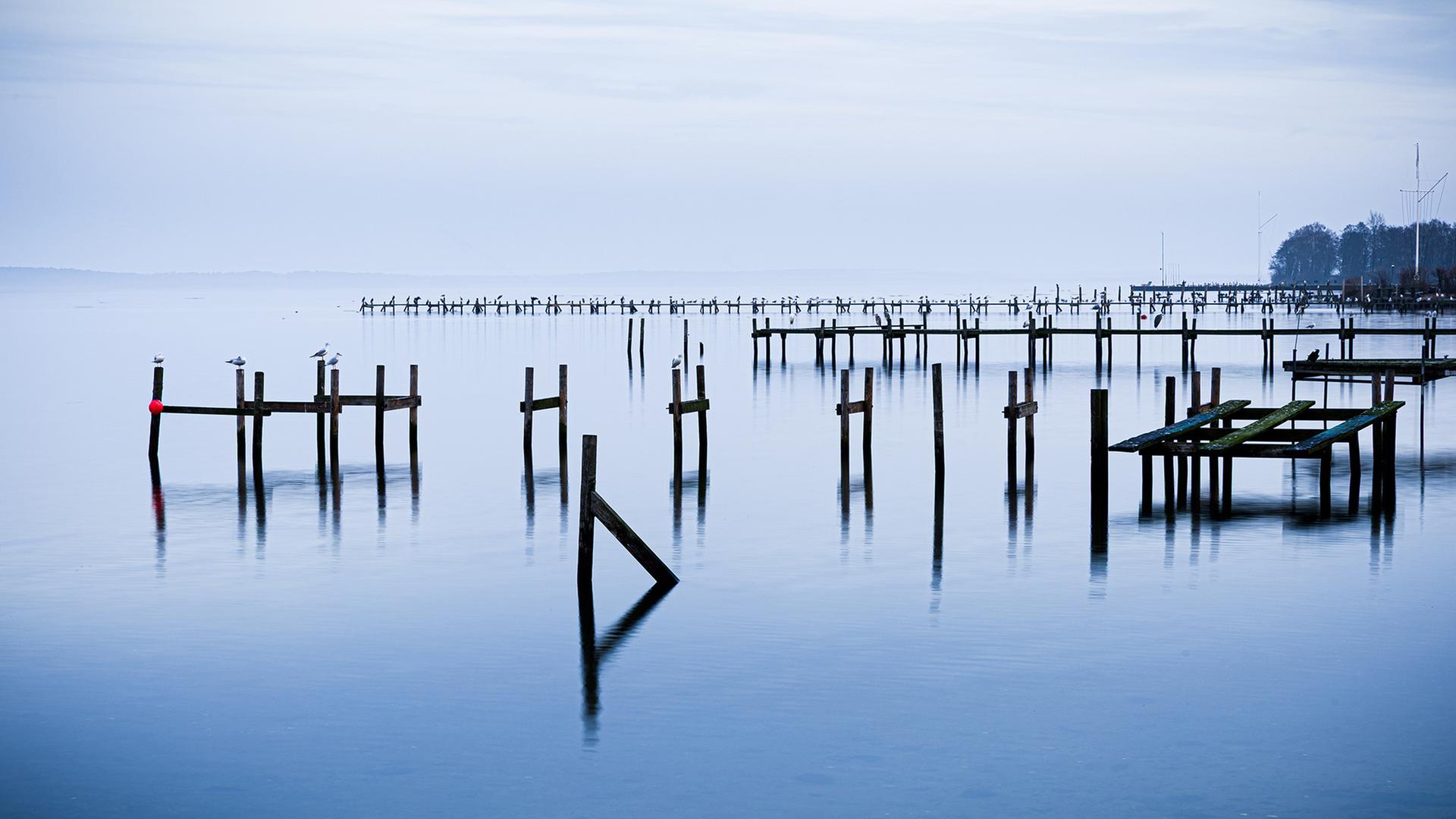  PfÃ¤hle einer abgebauten Steganlagen ragen am Morgen bei trÃ¼bem Wetter aus dem Steinhuder Meer. | dpa