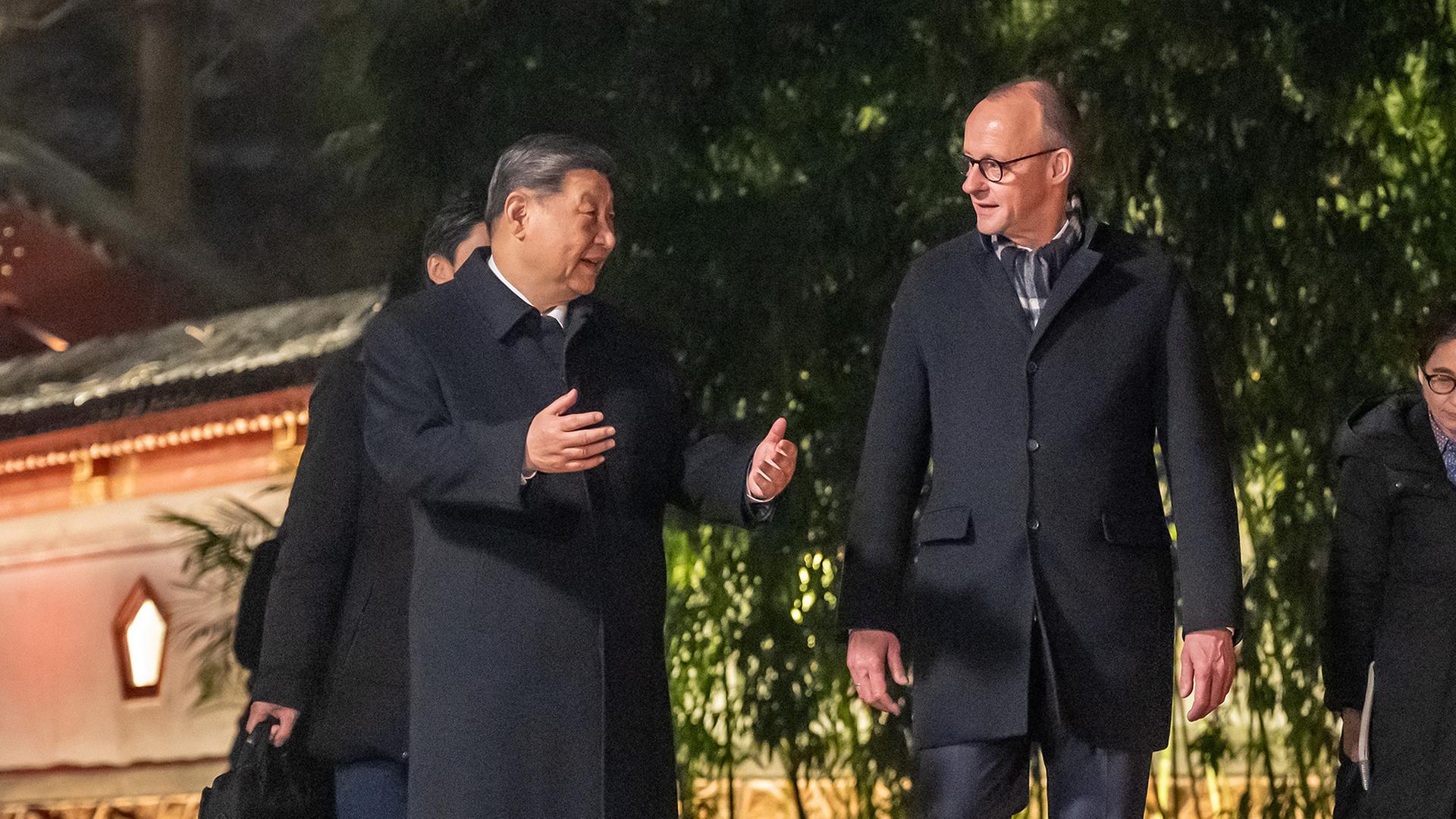 Friedrich Merz und Xi Jinping | Michael Kappeler/dpa