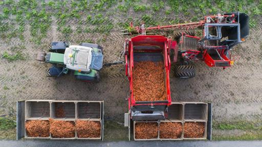 Wie steht es um die Ernährungssicherheit?
