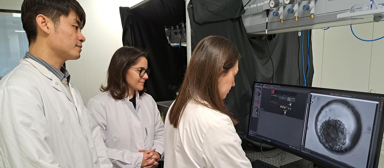 Wissenschaftler blicken auf einen Monitor.