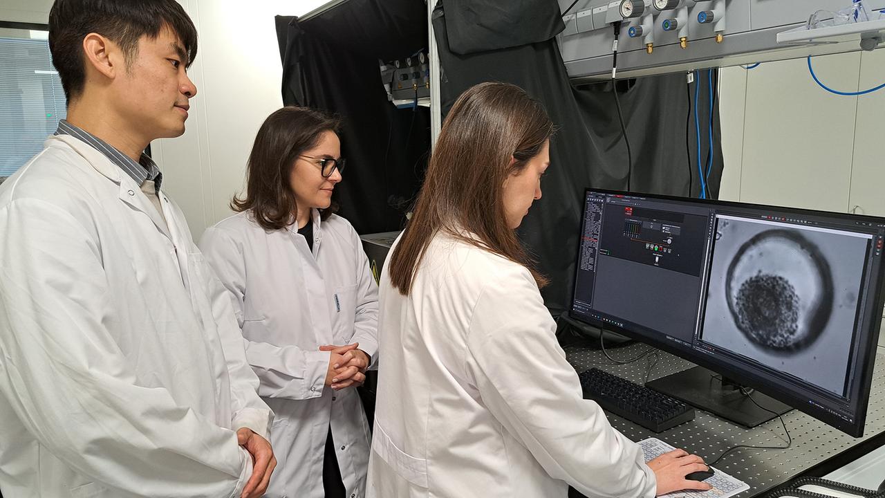 Nano-Roboter verwandeln Stammzellen in Knochenzellen