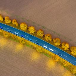 Luftaufnahme einer herbstlichen Allee, auf der Autos fahren