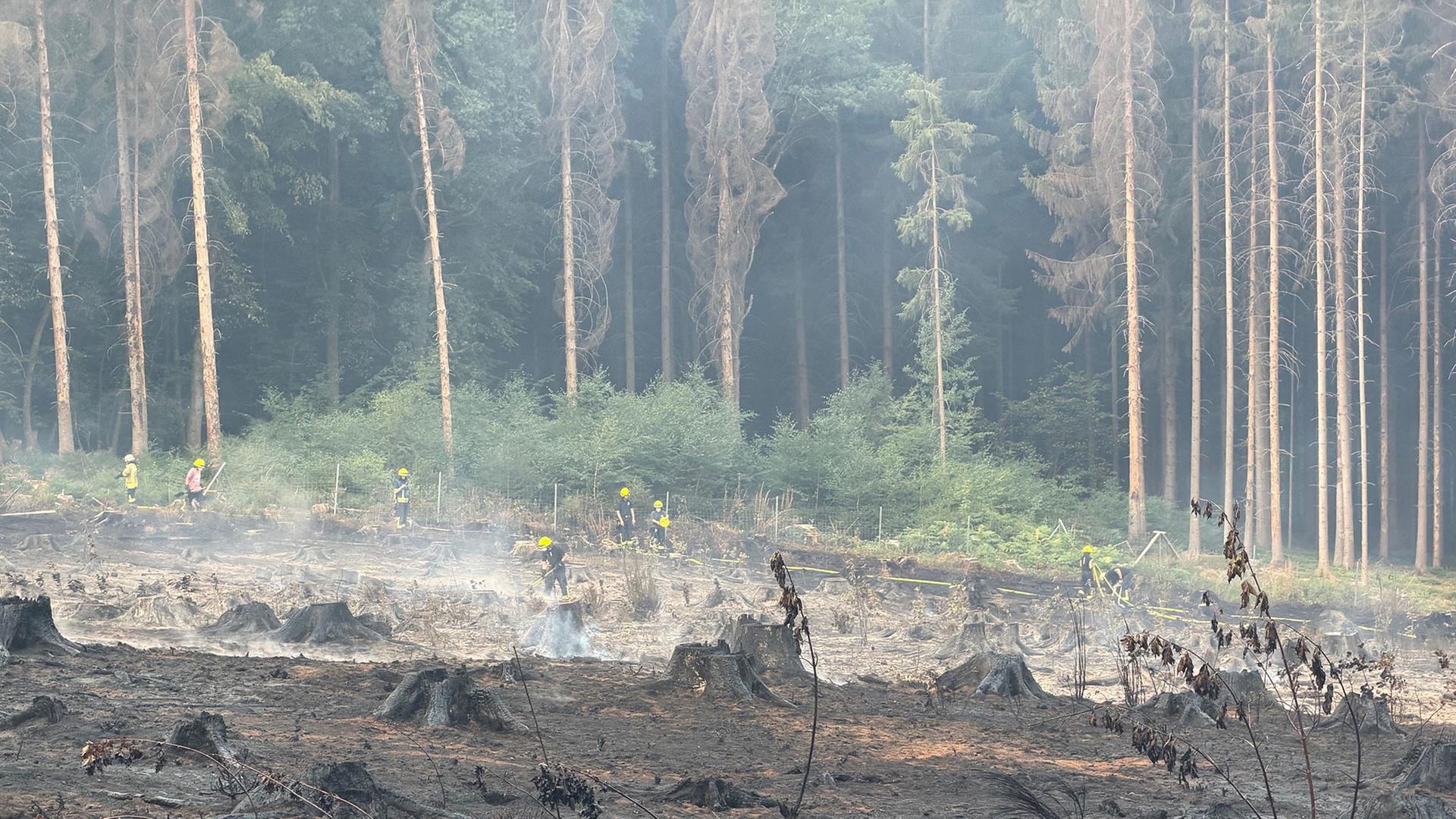 Großer Waldbrand bei Hüttigweiler ist unter Kontrolle – Löscharbeiten unterbrochen