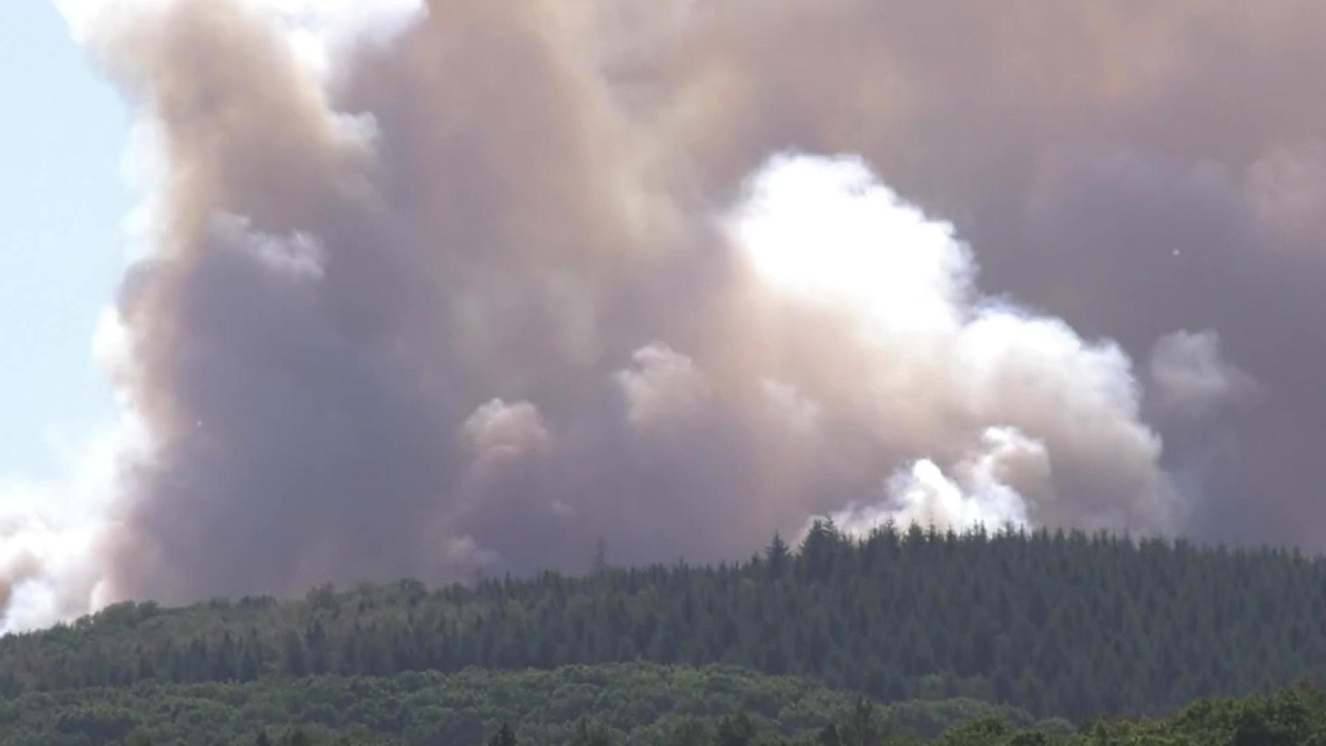 Evakuierung wegen Waldbrand in der Eifel