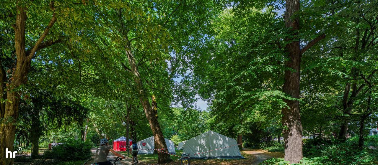 6 person camping tent EMS Sagamore Sonneschutz Terrassenüberdachung:opc-1784757265163 stable design Fix&Go Ankerplatte Tough Outfitters Schlafsackinlett Tough