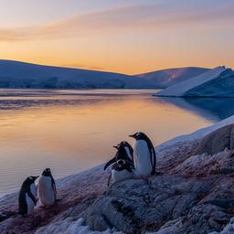 Klimawandel und Umwelt
