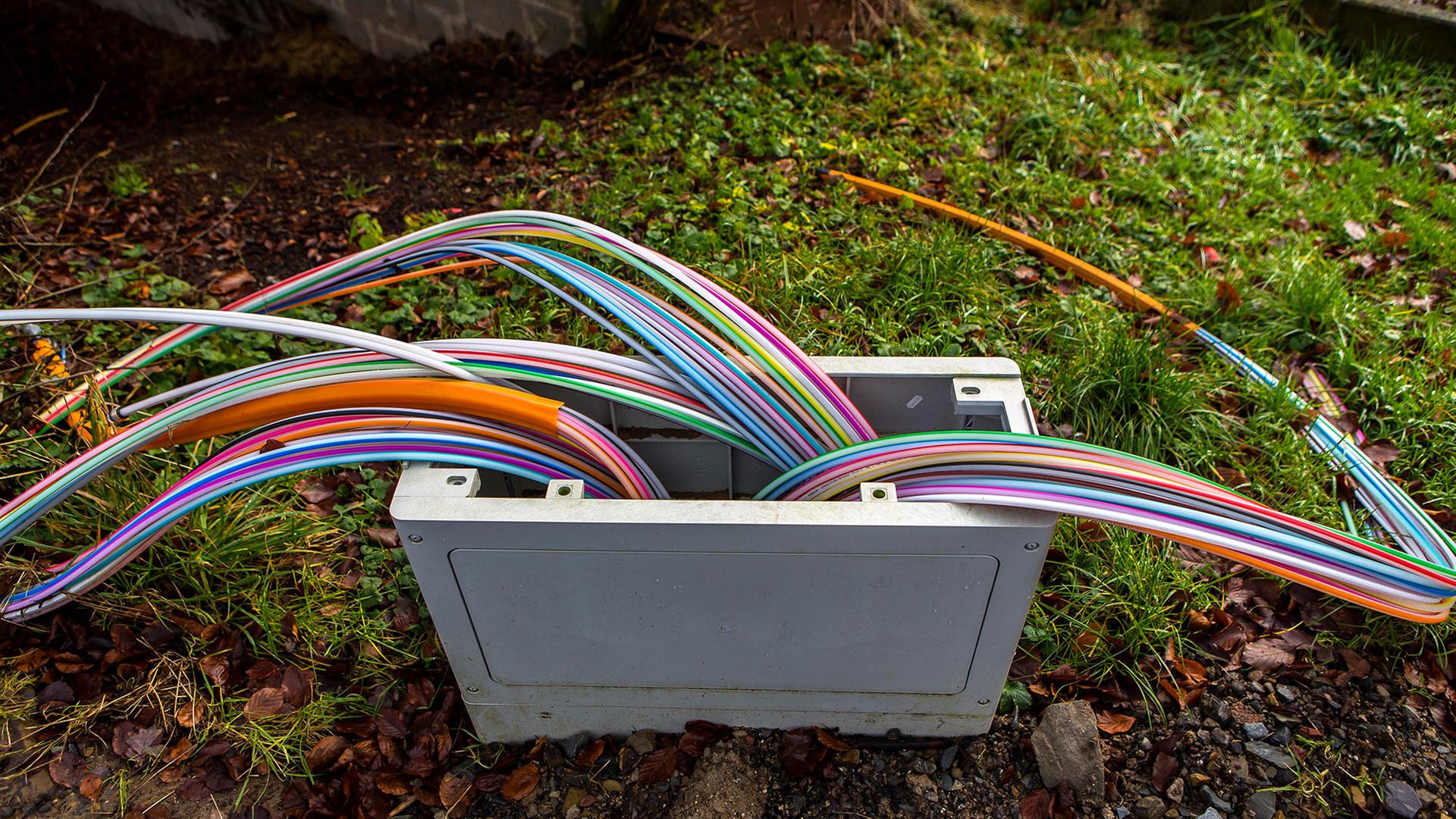Glasfasernetz zum Breitbandausbau für schnelles Internet. | picture alliance / Goldmann