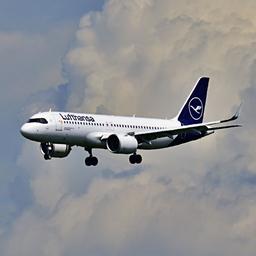 Landender Airbus der Lufthansa am Frankfurter Flughafen Fraport.