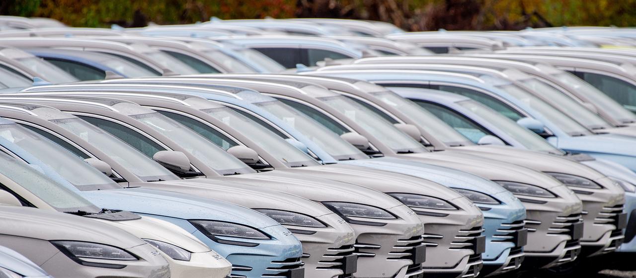 Zahlreiche neue Elektrofahrzeuge von Byd stehen auf einem Parkplatz.