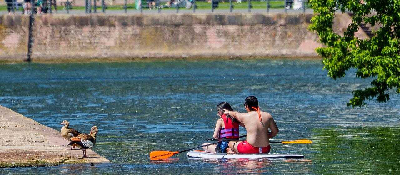 Zwei jungen Menschen treffen mit einem Board auf zwei Enten am Ufer.