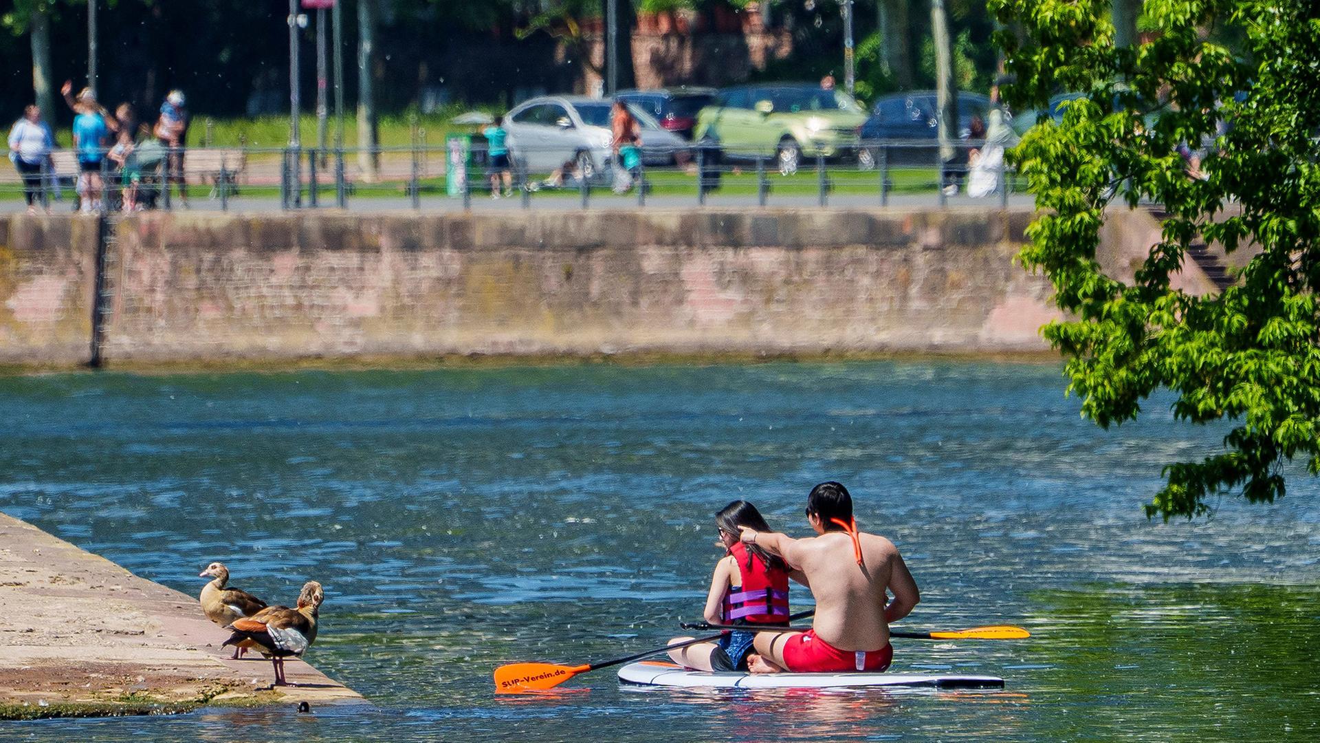 Zwei junge Menschen mit einem Board treffen auf zwei Enten am Ufer. | Andreas Arnold/dpa