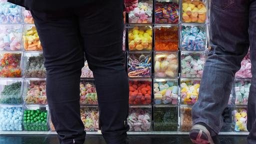 Wie das Hirn das Essverhalten steuert