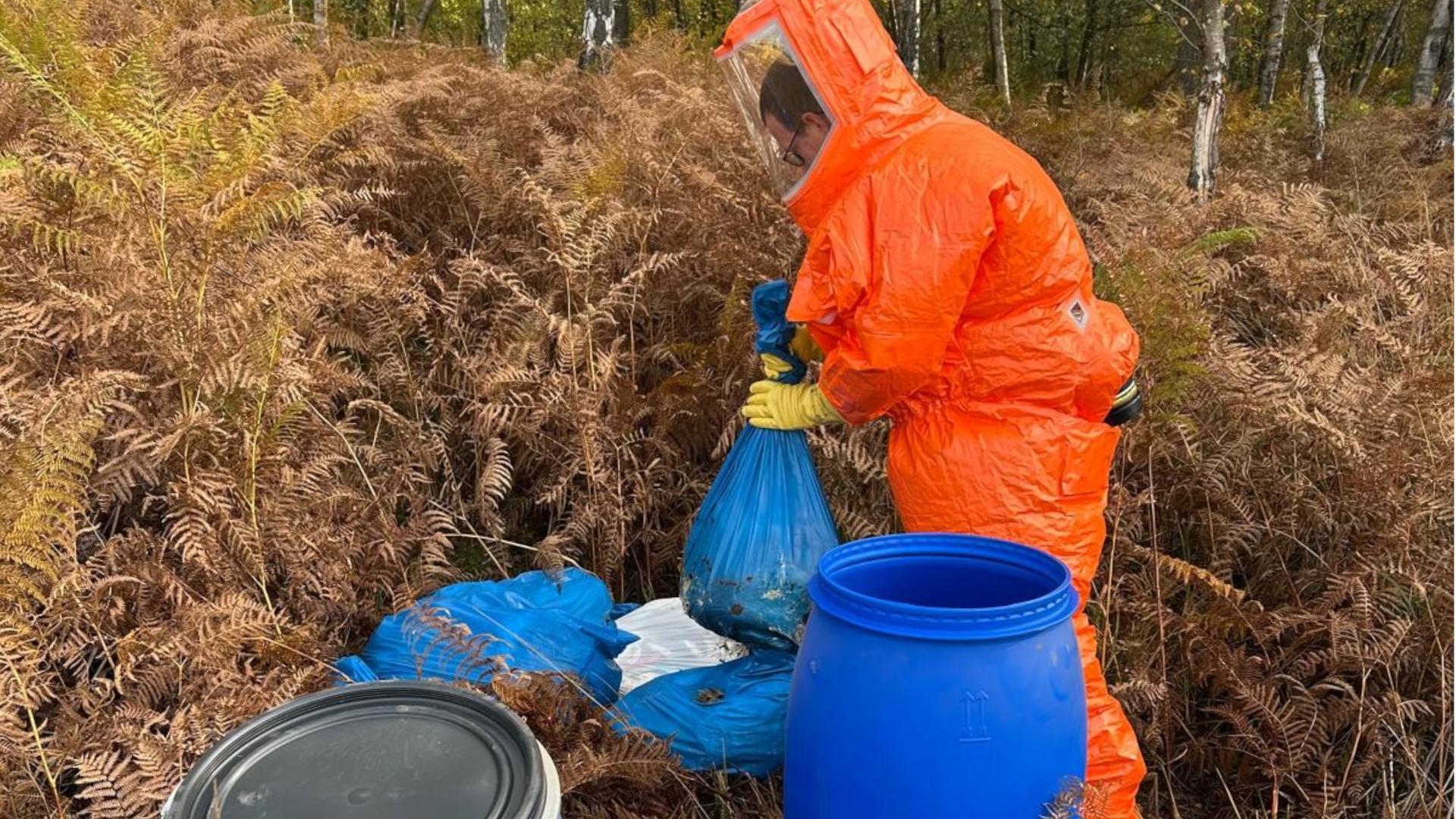 400 Kilo Schlachtabfälle in Further Moor entsorgt