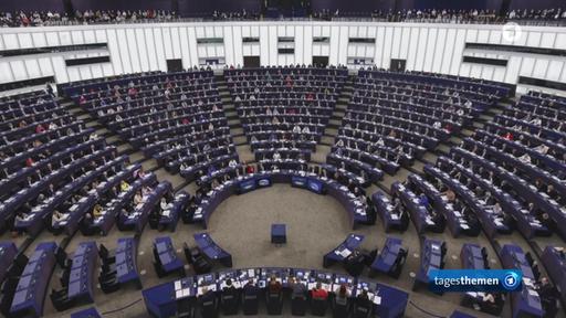 EVP-Fraktion: Bericht über Zusammenarbeit mit rechtsgerichteten Parteien