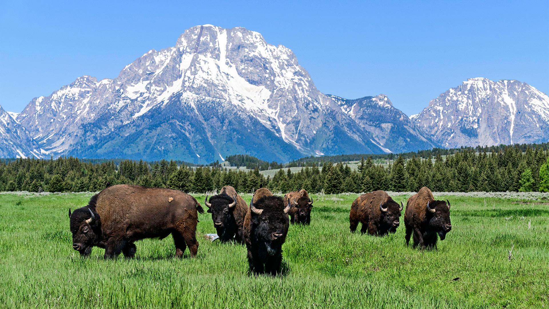 Worüber beim Notenbanker-Treffen in Jackson Hole gesprochen wird