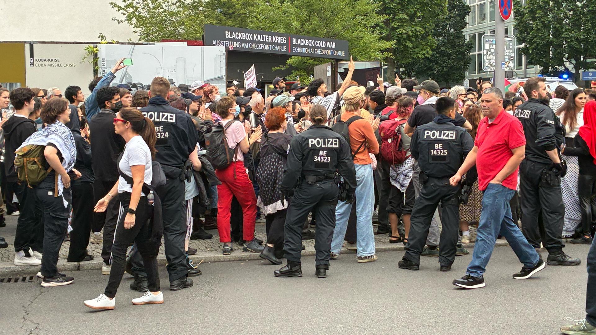 Demonstranten sind mit Plakaten und Palästina-Fahnen auf einer Straße unterwegs. | dpa