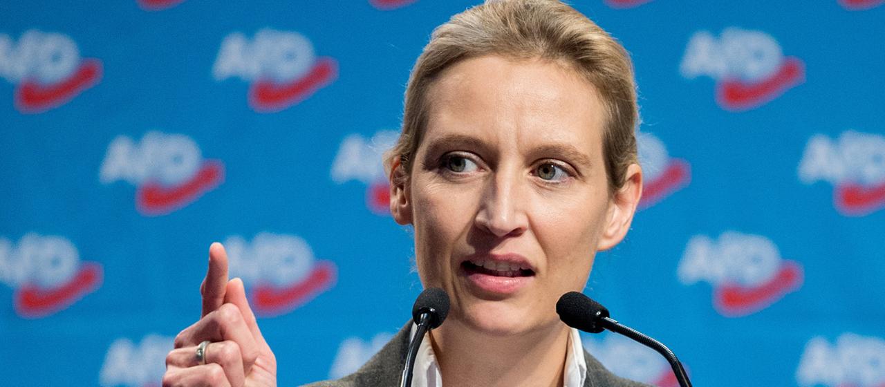 Weidel zu Intensivpatienten: Falsche Quelle, falsche Behauptung |  tagesschau.de