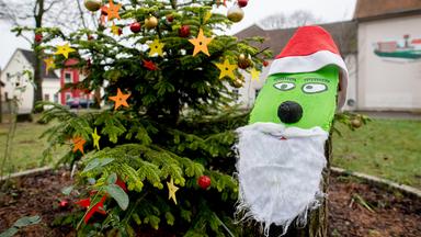 Ein als Filmfigur Grinch gestalteter Baumstamm und ein geschmückter Weihnachtsbaum stehen vor einer Grundschule in Niedersachsen.