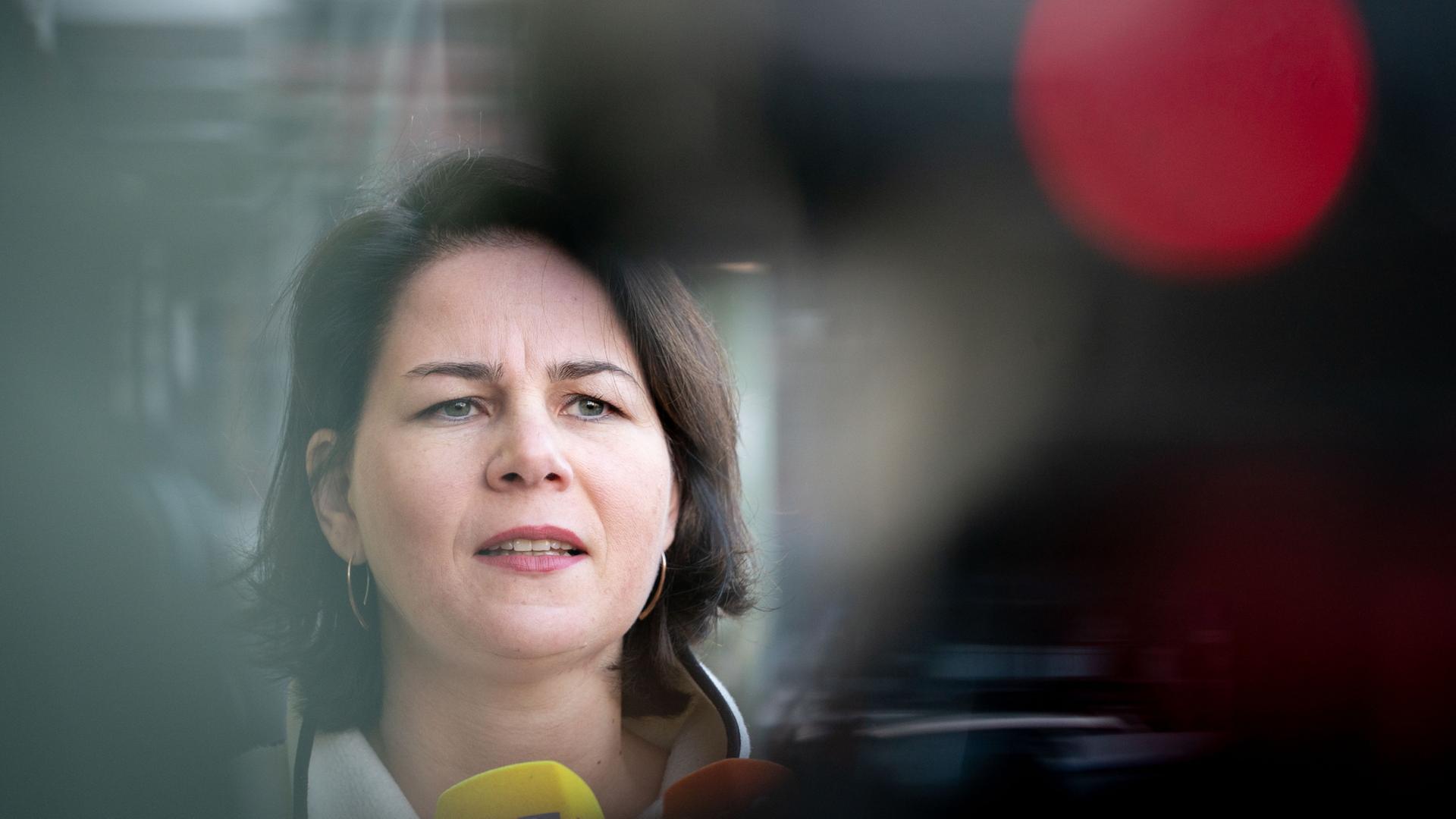 Annalena baerbock nackt fake